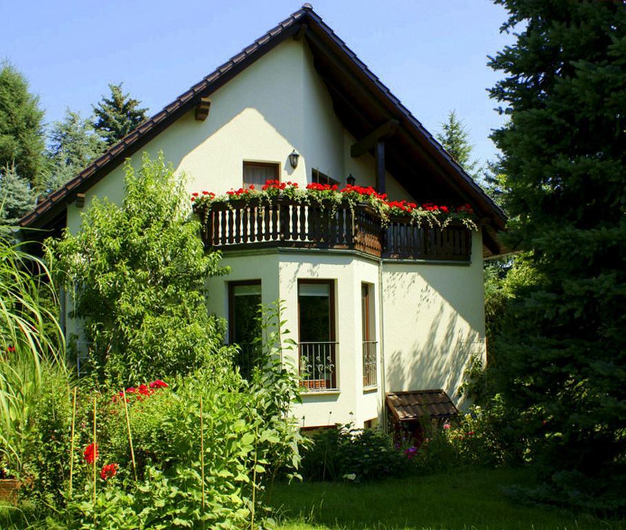 Ferienwohnung Ginkgo Drezno Pokój zdjęcie